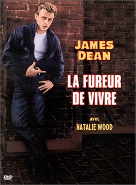 Pochette du DVD La Fureur de vivre 