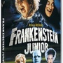 Frankenstein Junior