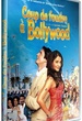Coup de foudre à Bollywood 