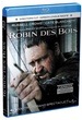 Robin des bois [Blu-ray] 