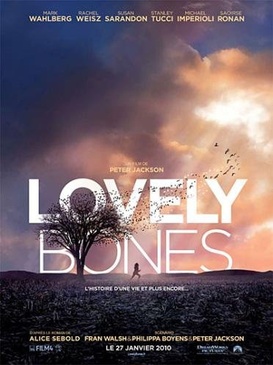 Pochette du DVD Lovely Bones 