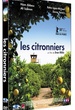 Les Citronniers 