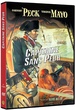 Capitaine sans peur 