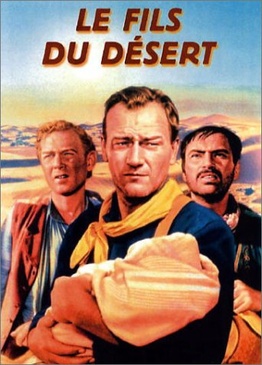 Pochette du DVD Le Fils du désert 