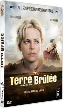 Pochette du DVD Terre brulee 