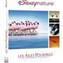 Les Ailes pourpres : le mystère des flamants