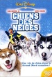 Chiens des neiges 