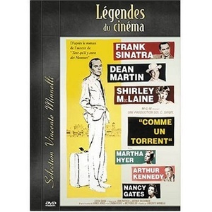 Pochette du DVD Comme un torrent 