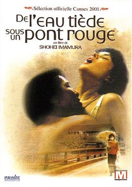 Pochette du DVD De l'eau tiède sous un pont rouge 