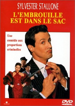 Pochette du DVD L'Embrouille est dans le sac 