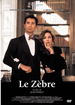 Pochette du DVD Le zebre 