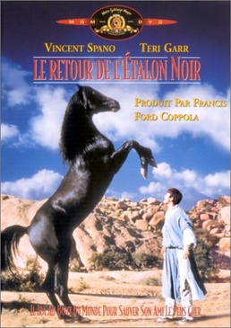 Pochette du DVD Le Retour de l'Etalon Noir 