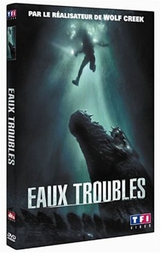Pochette du DVD Eaux troubles 