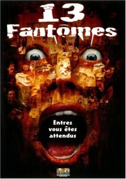 Pochette du DVD 13 Fantômes 