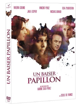 Pochette du DVD Un baiser papillon 