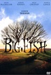 Big Fish 