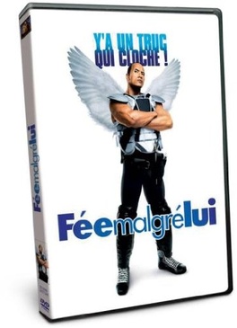 Pochette du DVD Fée malgré lui 