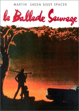 Pochette du DVD La Ballade Sauvage 