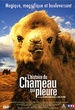 L'Histoire du chameau qui pleure 