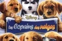 Affiche du film Les Copains Des Neiges