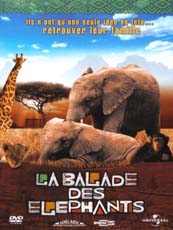 Affiche du film La balade des éléphants