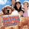 Affiche du film Petits Chiots Pour Grande Famille - Petits Chiots Pour Grande Famille 