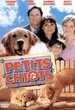 Petits Chiots Pour Grande Famille 