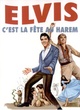 Affiche du film C'est La Fête Au Harem