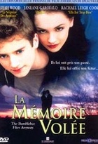 Affiche miniature du film La mémoire volée