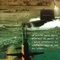Affiche du film Sous-marins - Sous-marins 