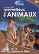 Affiche du film Le monde merveilleux des animaux - Suricates et Zèbres