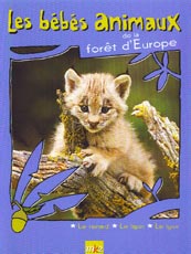Affiche du film Les bébés animaux de la forêt d'Europe