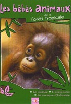 Affiche miniature du film Les bébés animaux de la forêt tropicale