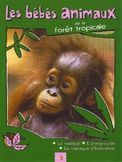 Affiche du film Les bébés animaux de la forêt tropicale