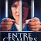 Affiche du film Entre ces murs - Entre ces murs 