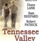 Affiche du film Tennessee Valley - Tennessee Valley 
