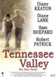 Affiche du film Tennessee Valley