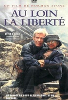 Affiche miniature du film Au loin la liberté