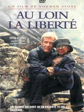 Affiche du film Au loin la liberté