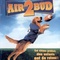 Affiche du film Air Bud 2 - Air Bud 2 
