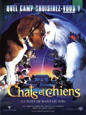 Affiche du film Comme chiens et chats