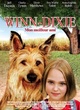 Affiche du film Winn Dixie, mon meilleur ami