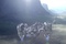 le-vaisseau-atterit-png