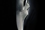 new poster teaser for scream 4