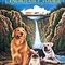 Affiche du film L'incroyable voyage - L'incroyable voyage 