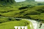 Affiche du film Dans la tête d'un champion