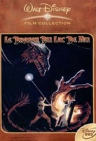 Affiche miniature du film Le dragon du lac de feu