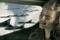 gwyneth paltrow entouree d avions