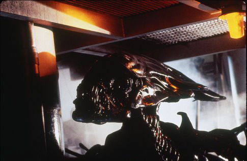 alien-jpg