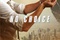 poster-jeremy-renner-no-choice-pour-mission-impossible-4-jpg